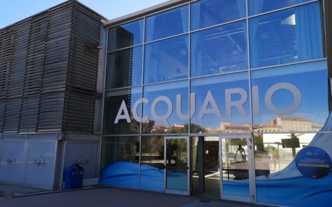 L’Acquario di Livorno si illumina per le festività con un programma esclusivo