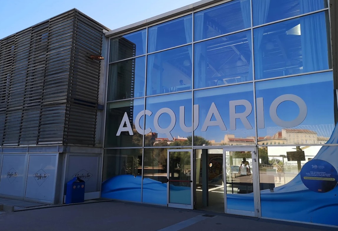 L’Acquario di Livorno si illumina per le festività con un programma esclusivo