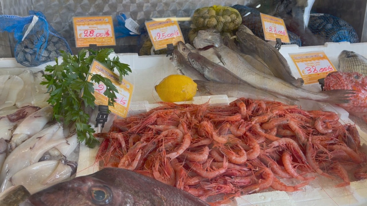 Rifornimenti straordinari di pesce per le festività natalizie