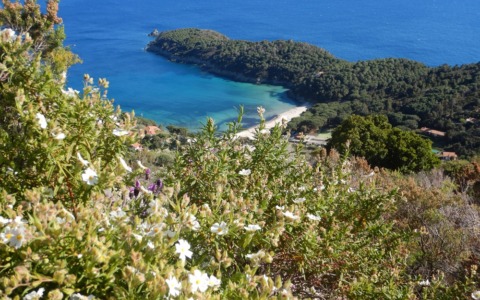 Scoprire i profumi e i paesaggi dell’Isola d’Elba