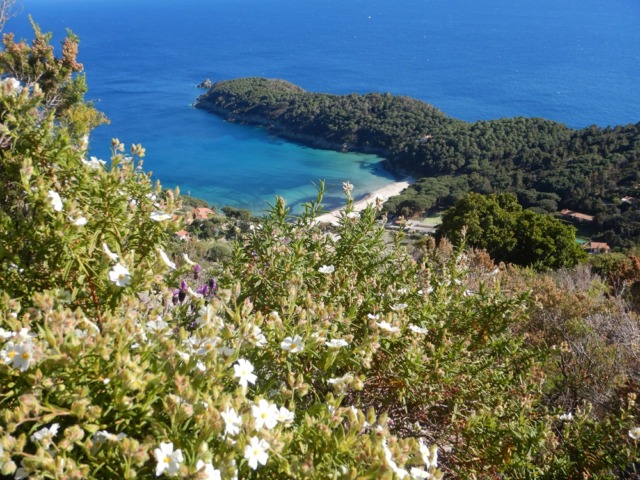Scoprire i profumi e i paesaggi dell’Isola d’Elba